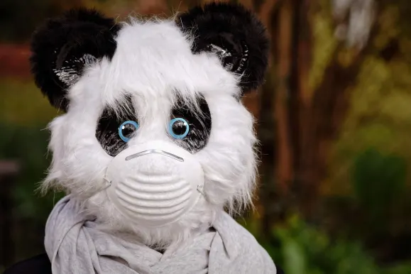 Bitcoza Kasyno Wsparcie